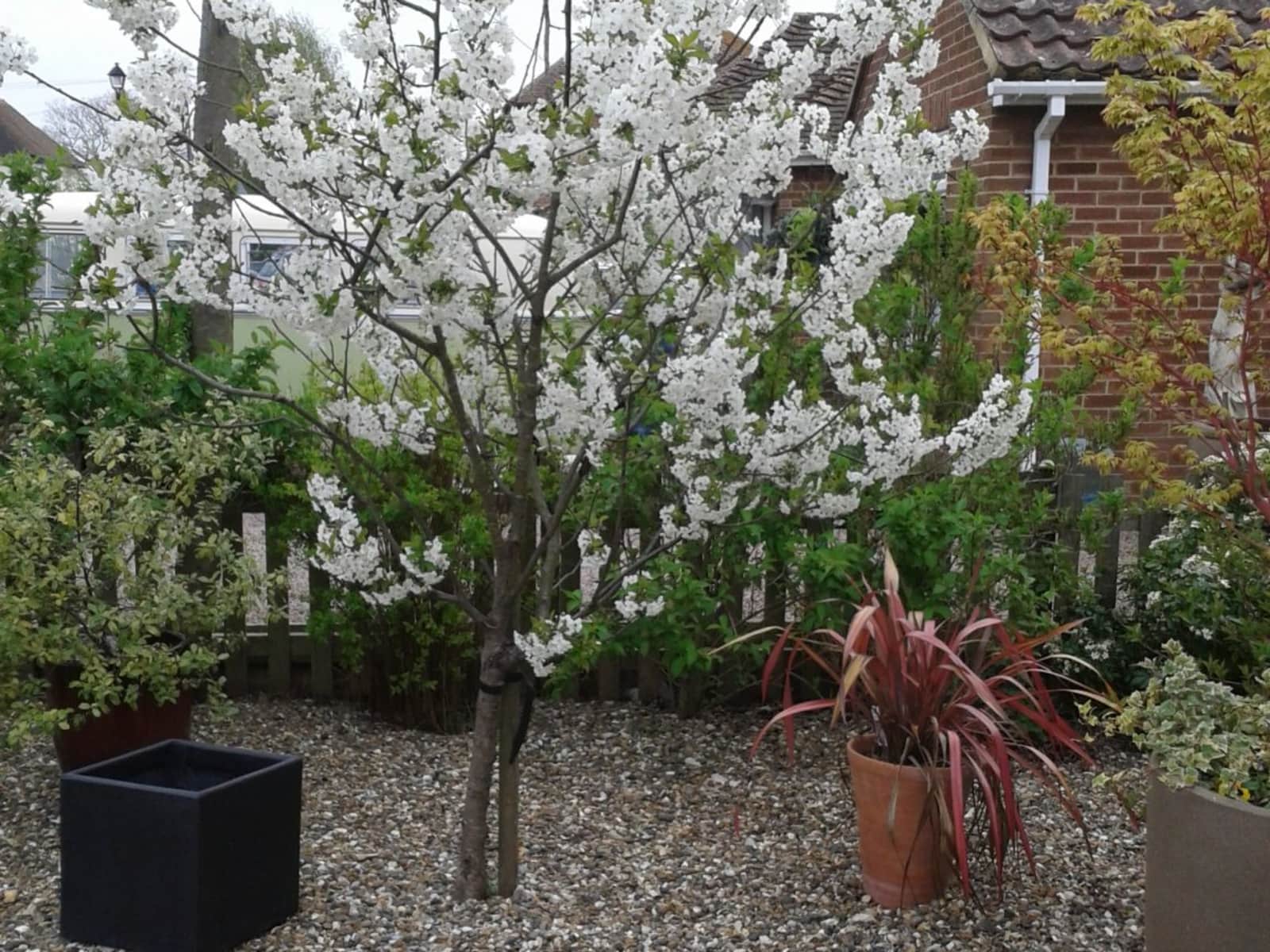 Housesitting assignment in Sandwich, United Kingdom