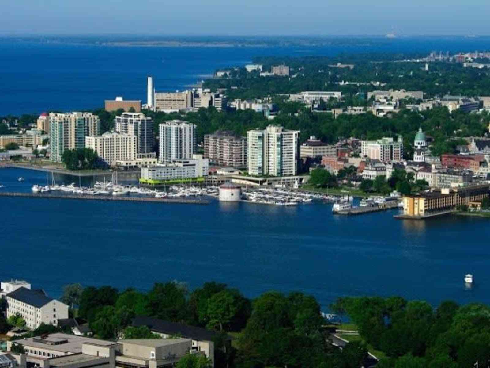Housesitting assignment in Kingston, Ontario, Canada