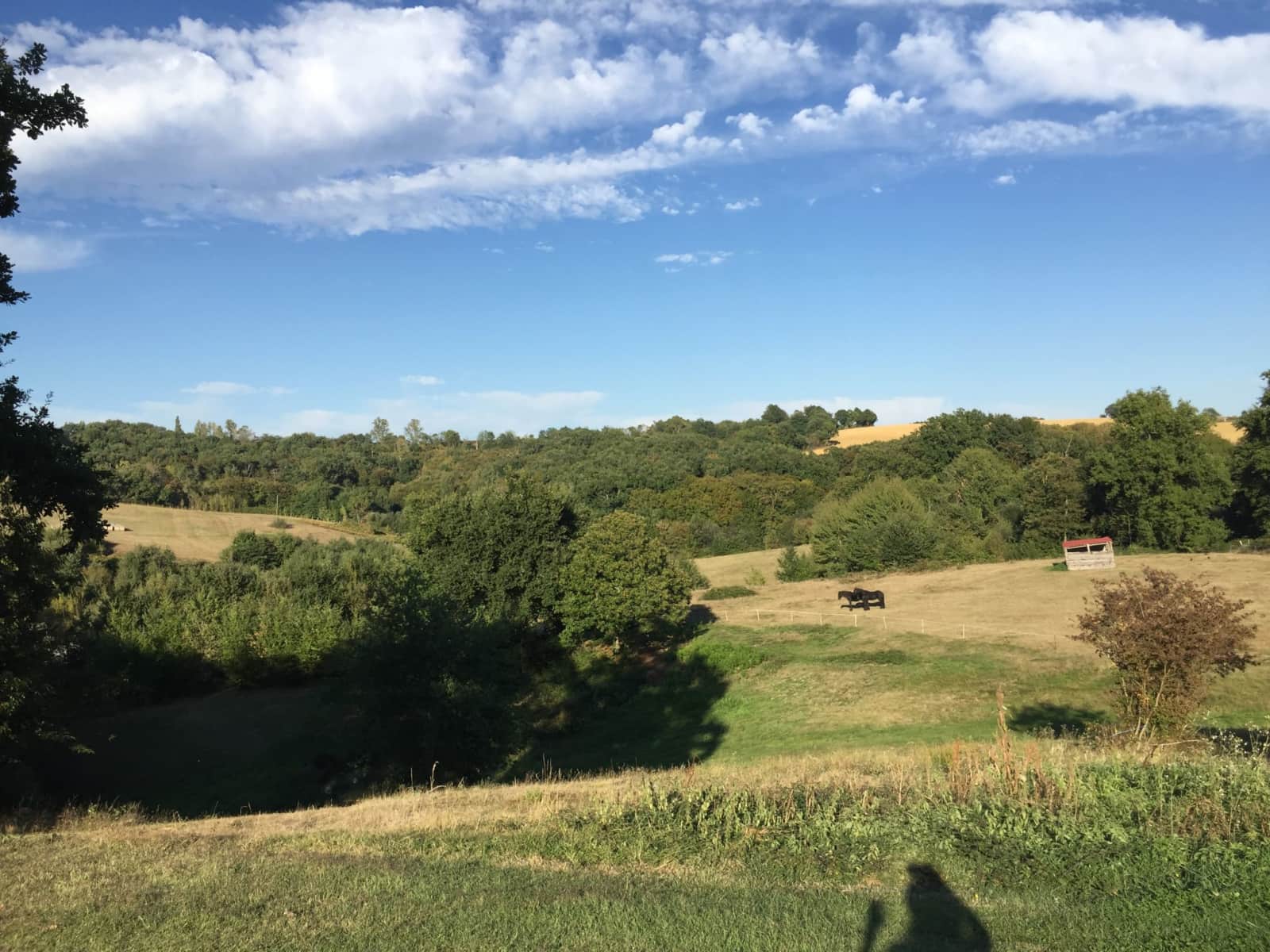 Housesitting assignment in Eauze, France