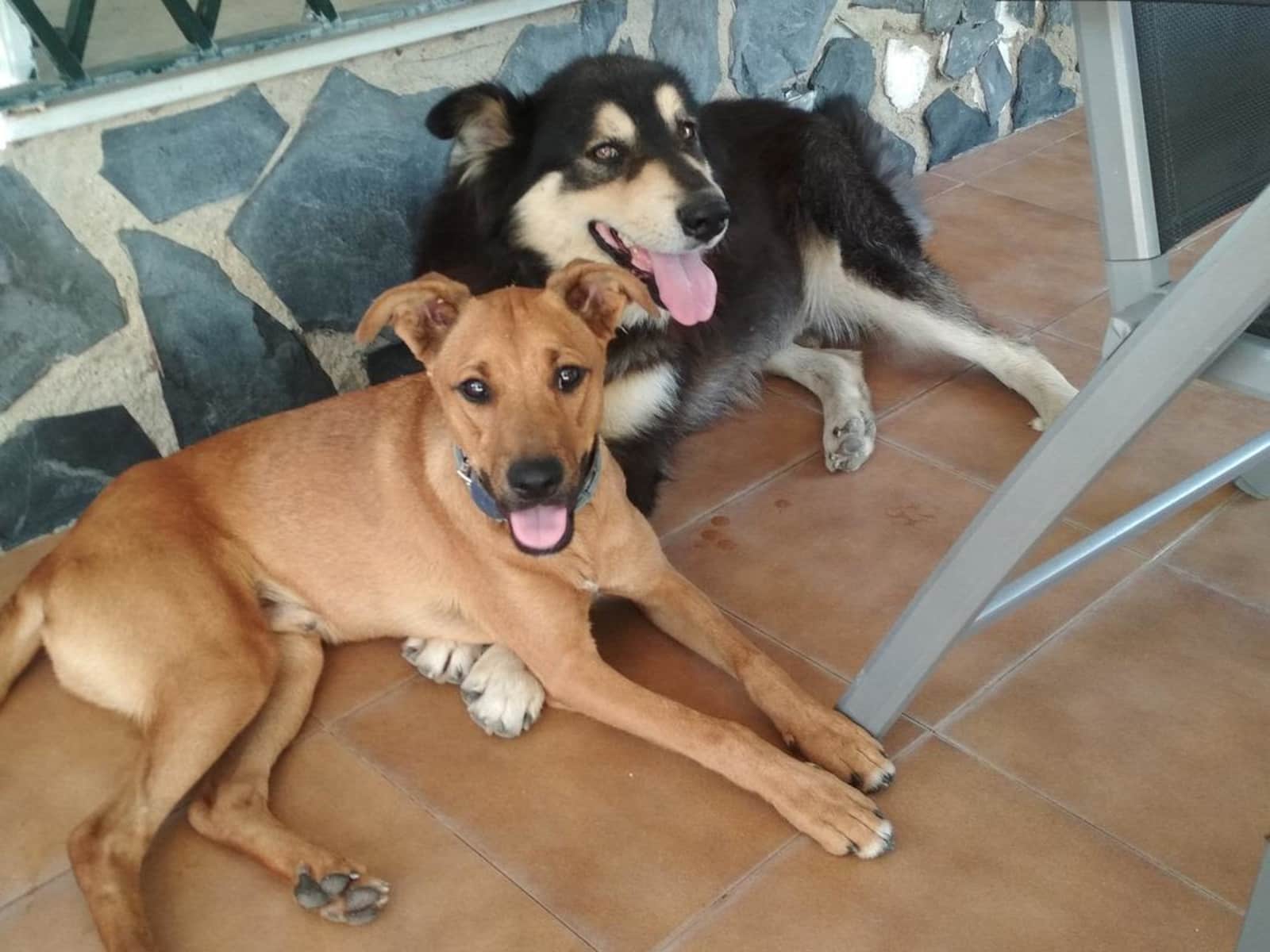 Marita & Johannes from Santiago de Veraguas, Panama