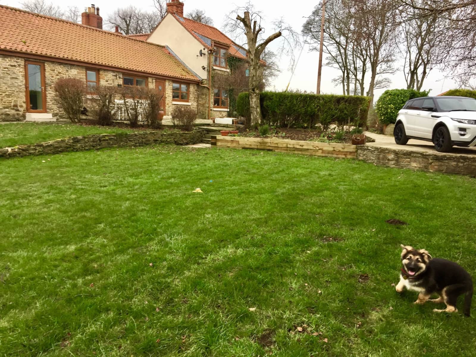 Housesitting assignment in Durham, United Kingdom