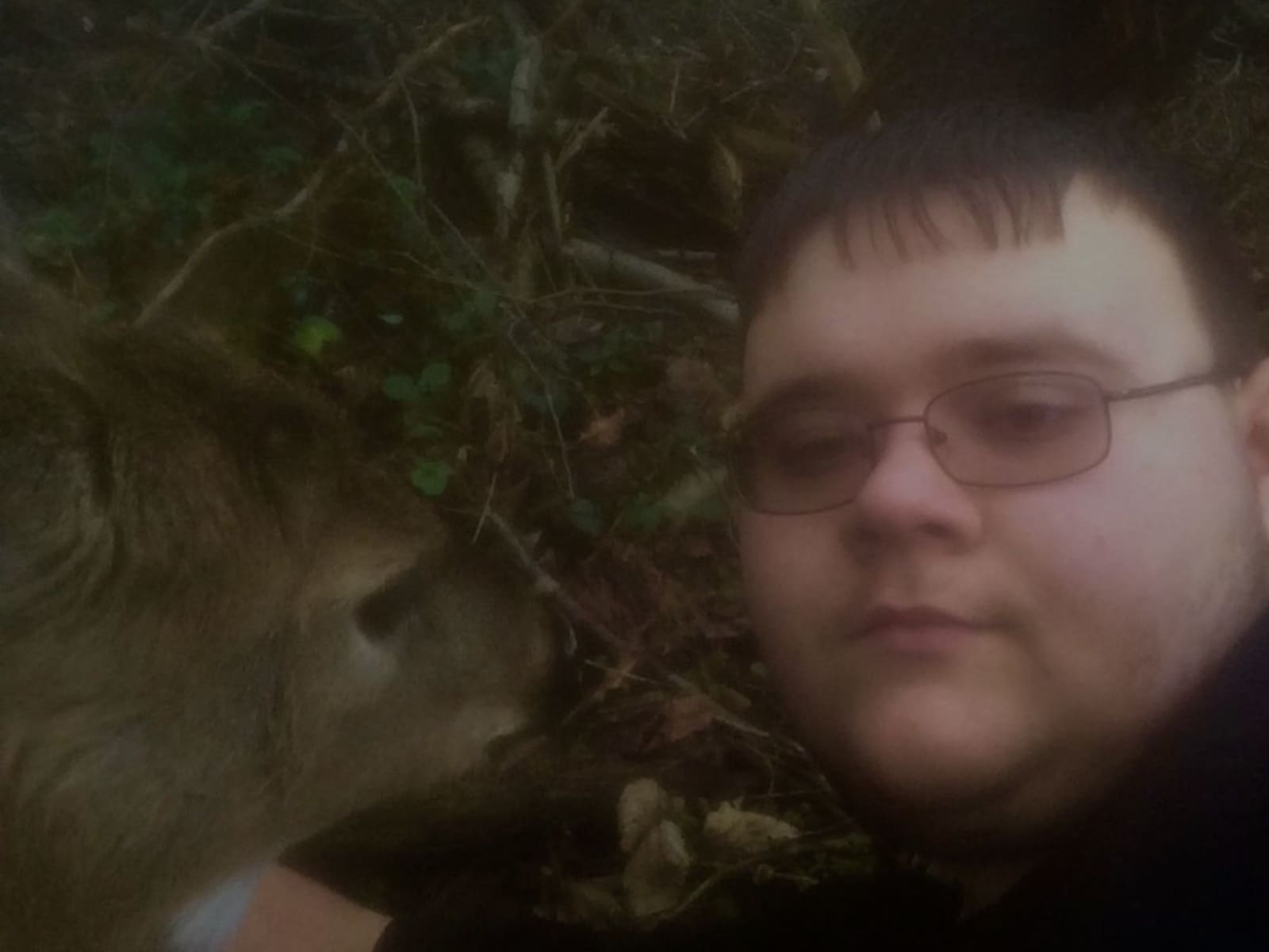 Alexander from Pittsburgh, Pennsylvania, United States