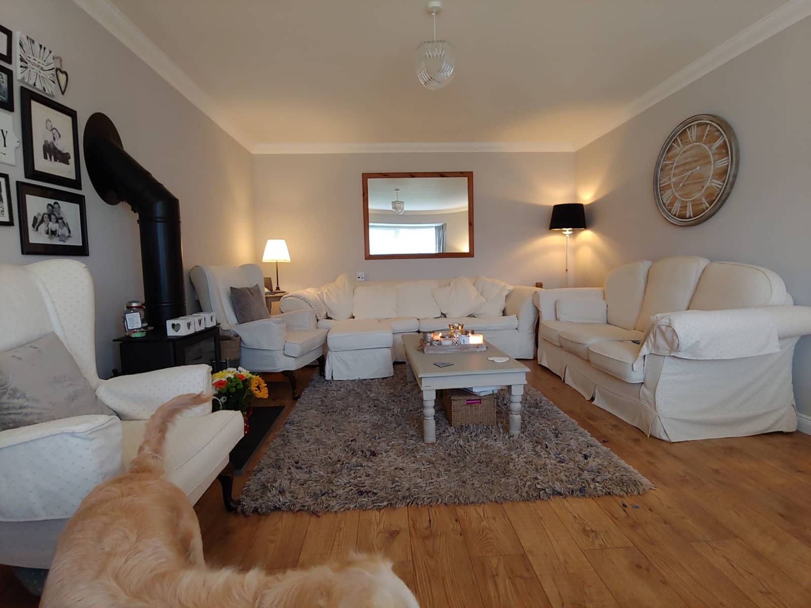 Housesitting assignment in Inverurie, United Kingdom