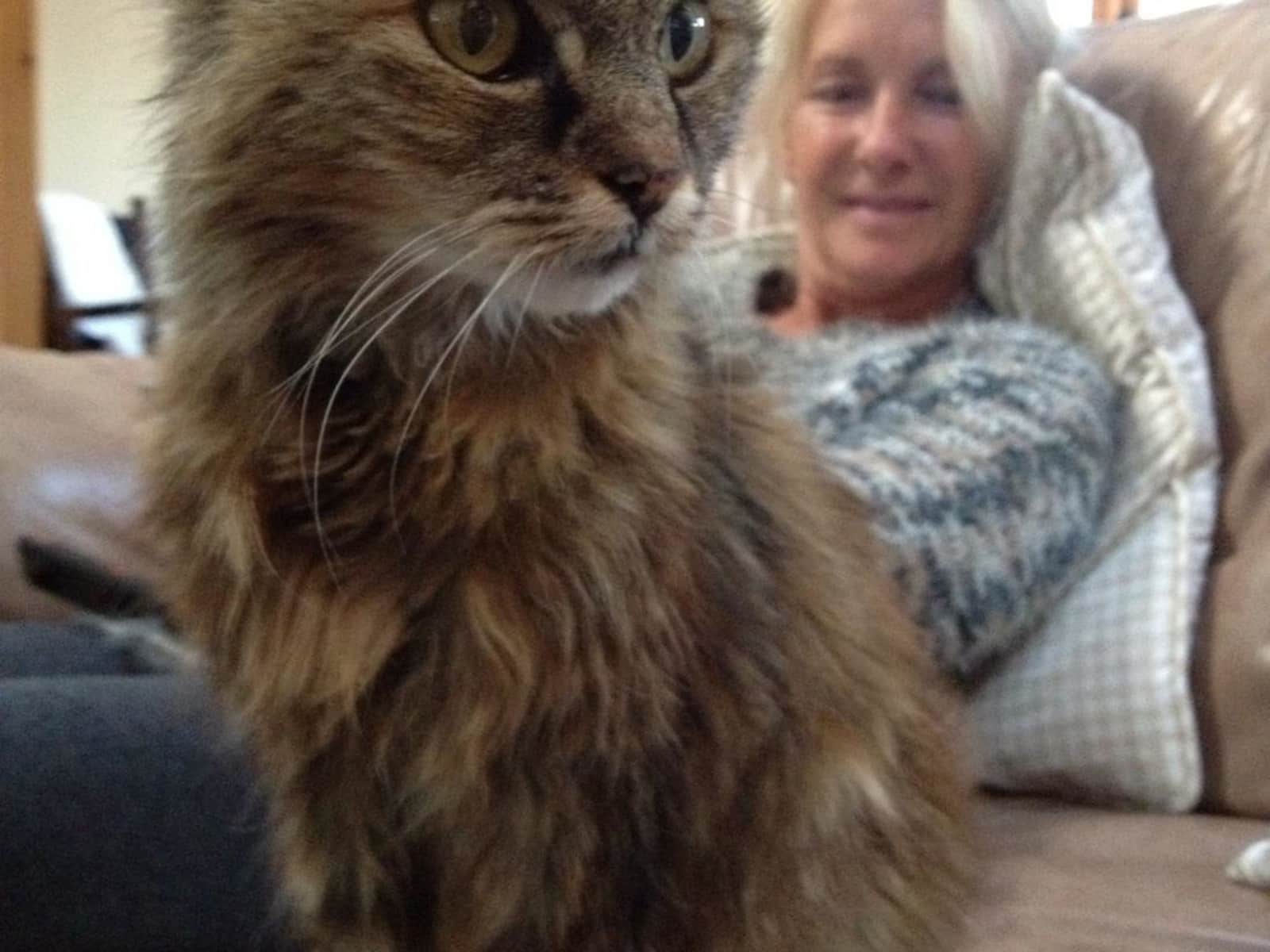 Sharon from Cheltenham, United Kingdom