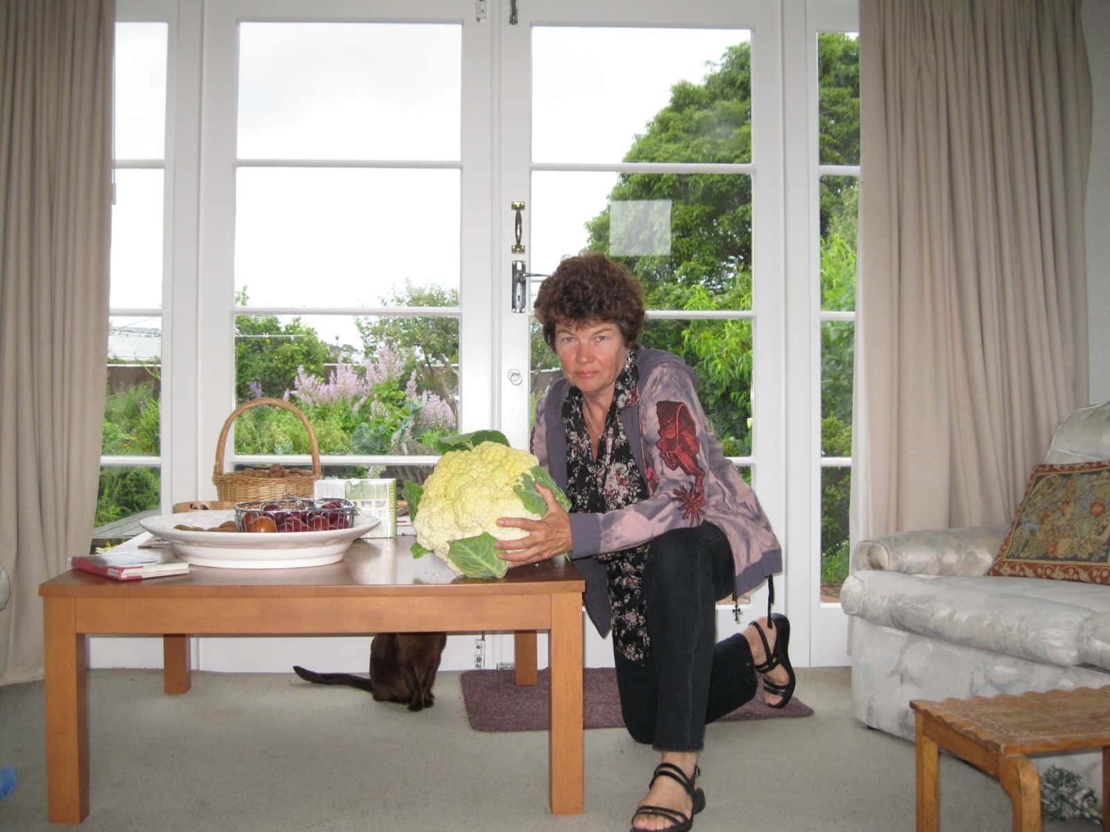 Housesitting assignment in Paraparaumu, New Zealand