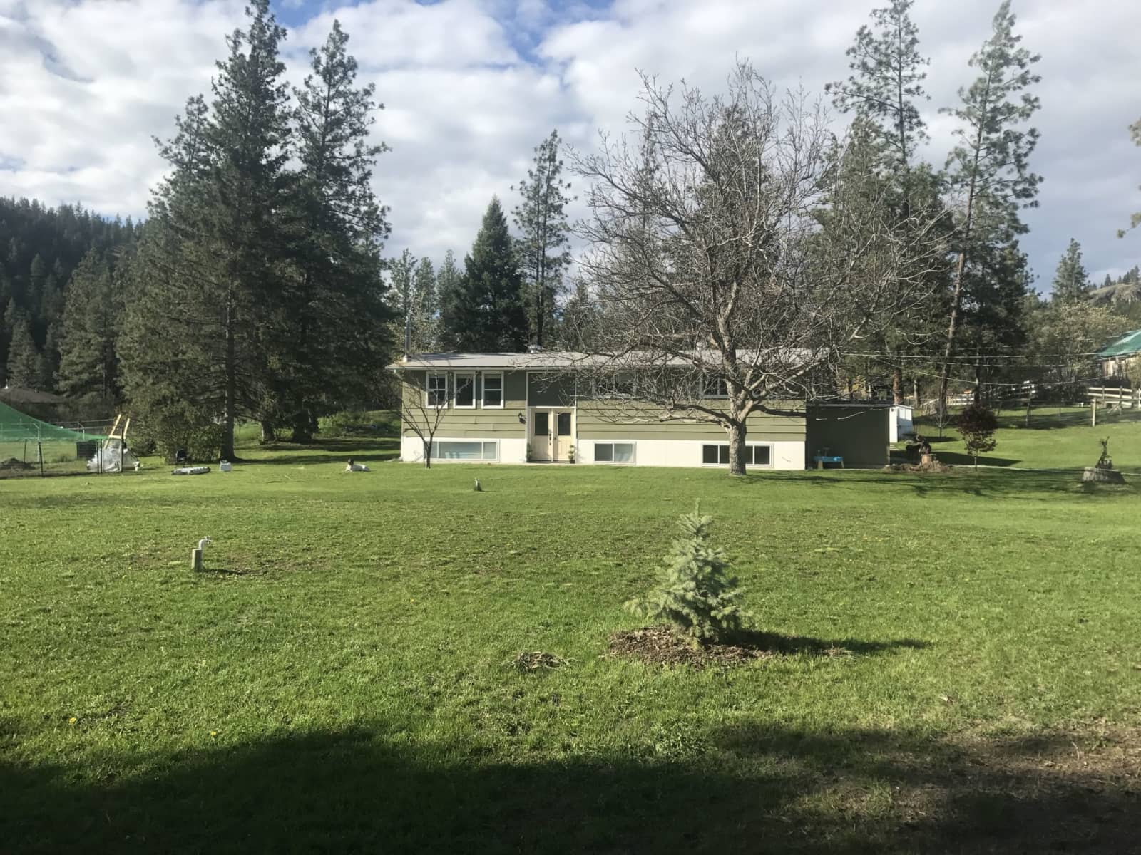 Housesitting assignment in Oliver, British Columbia, Canada