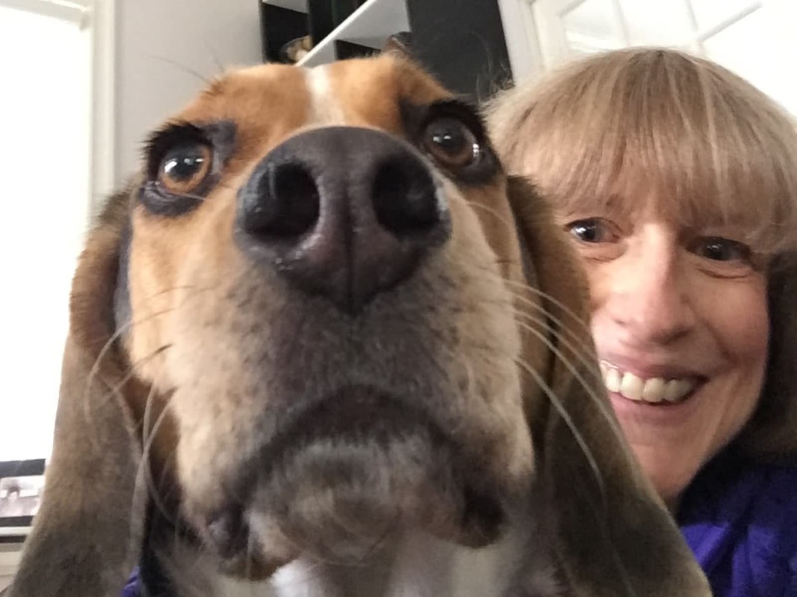 Laura from Washington, D.C., Washington, D.C., United States