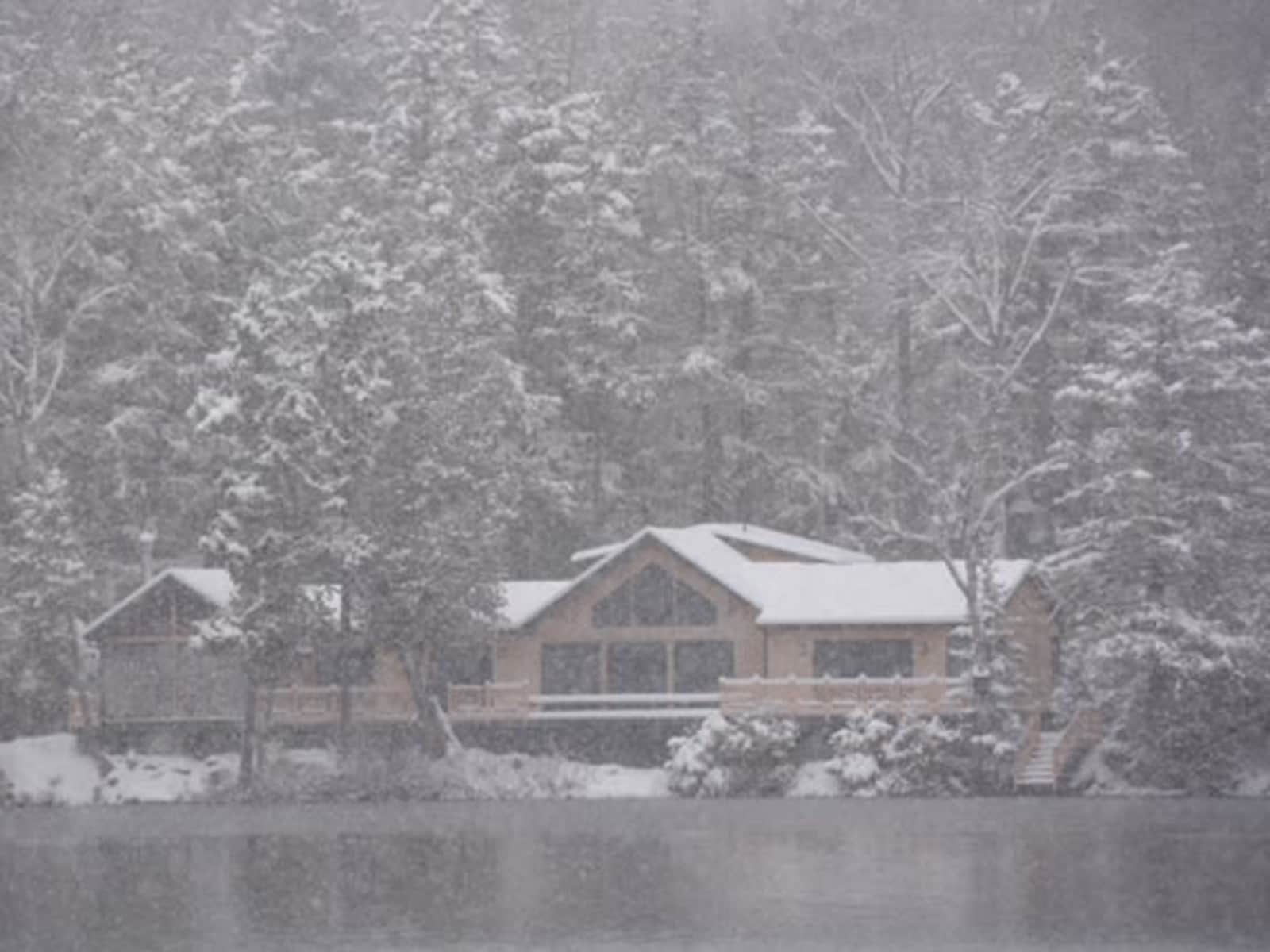 Housesitting assignment in Mariaville, Maine, United States