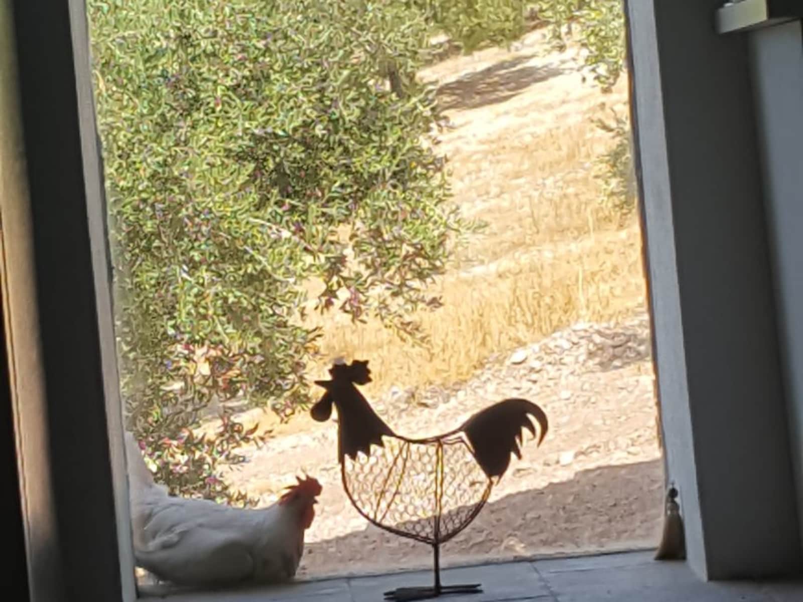Housesitting assignment in Algarinejo, Spain