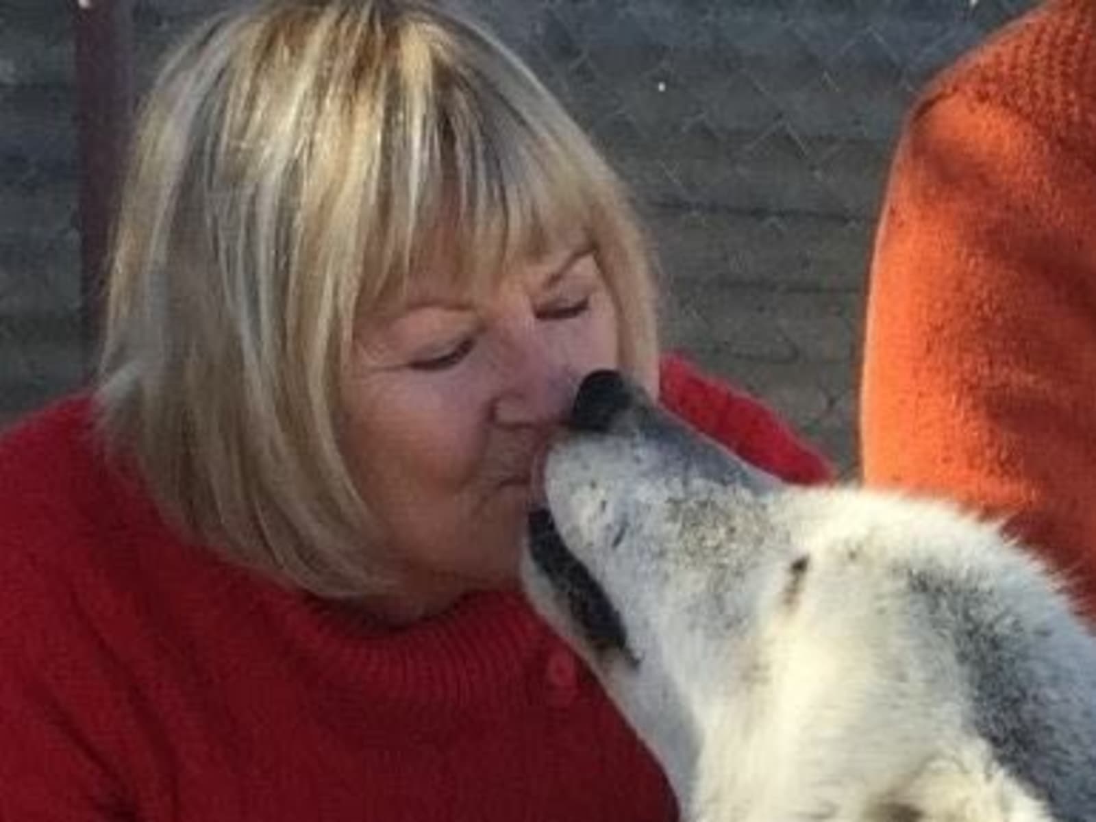Sue & Michael from Falmouth, United Kingdom