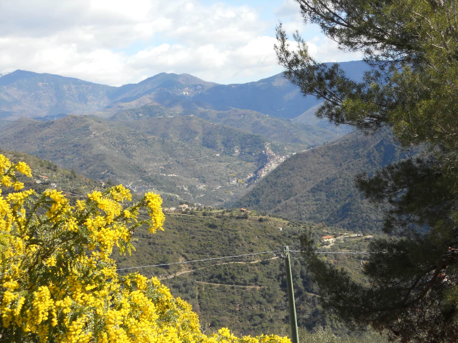 Sofia & Ardhan from Dolceacqua, Italy