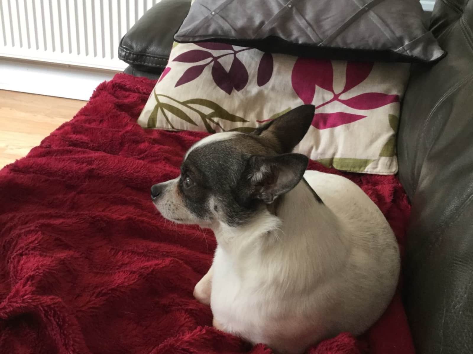 Janice from Harlow, United Kingdom