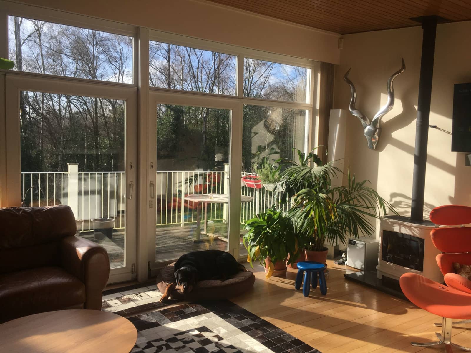Housesitting assignment in Southampton, United Kingdom