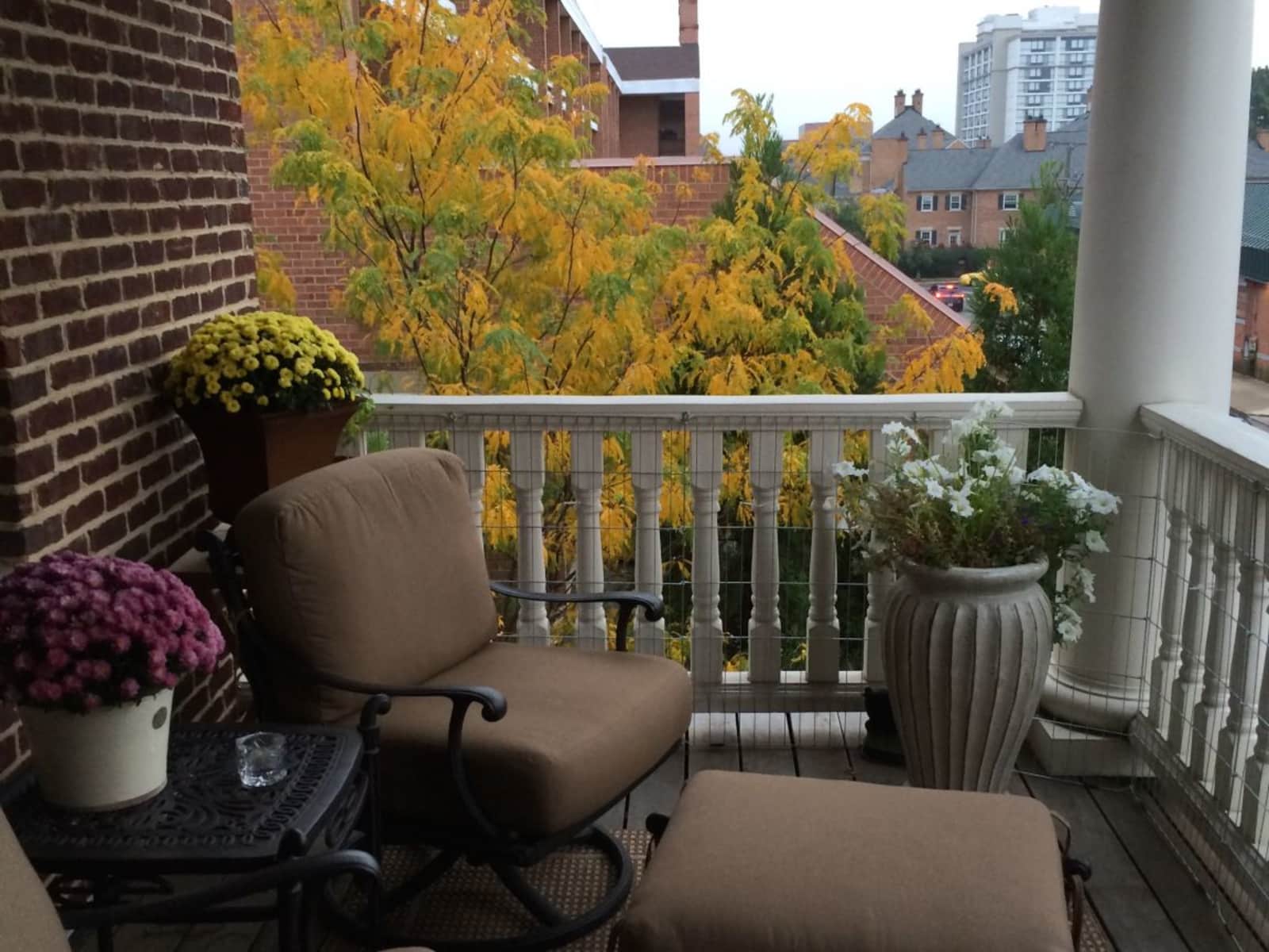 Housesitting assignment in Alexandria, Virginia, United States