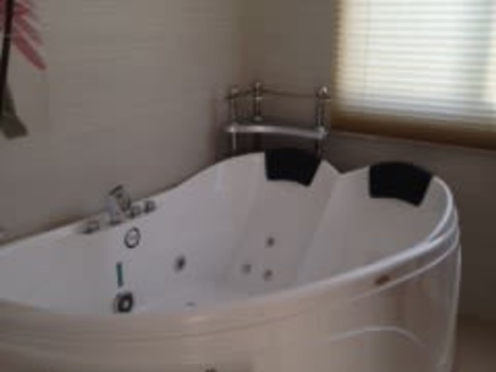 Housesitting assignment in Ho Chi Minh City, Vietnam