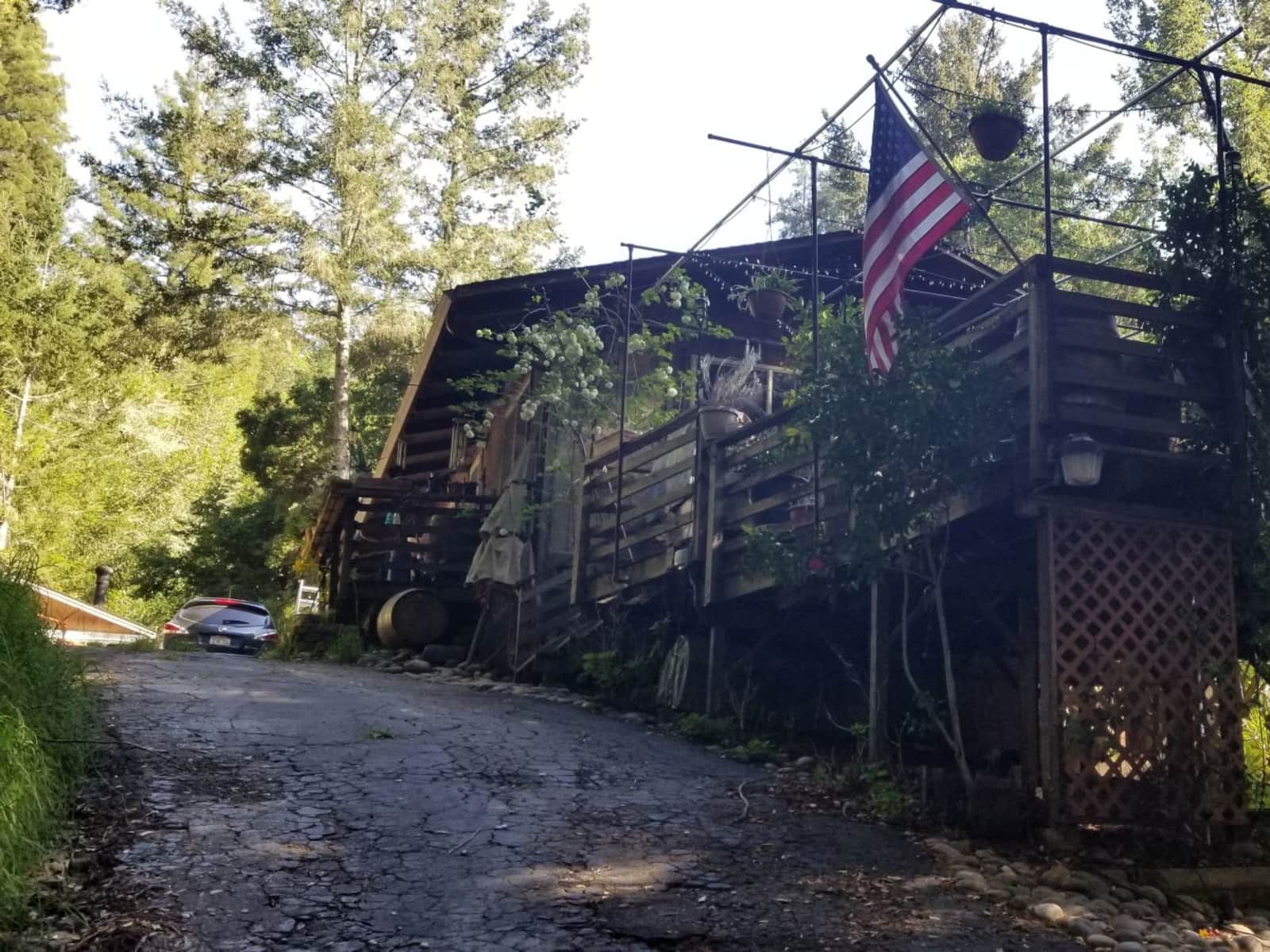 Housesitting assignment in Los Gatos, California, United States