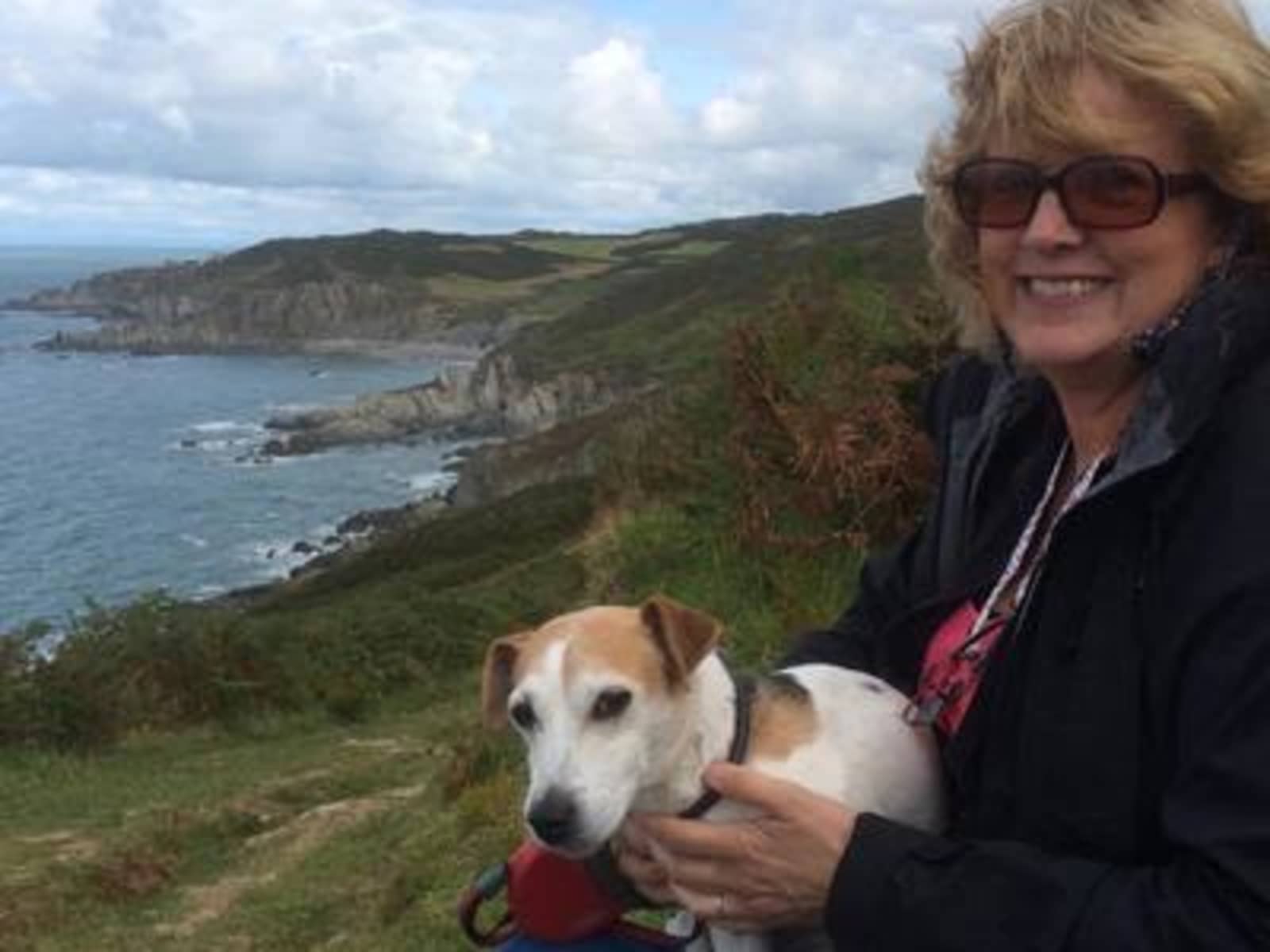 Housesitting assignment in Stratford-upon-Avon, United Kingdom