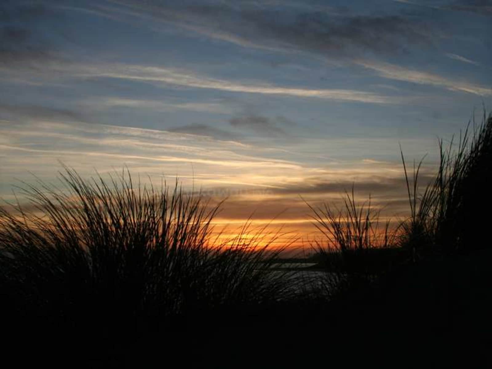Housesitting assignment in Oost-Souburg, Netherlands