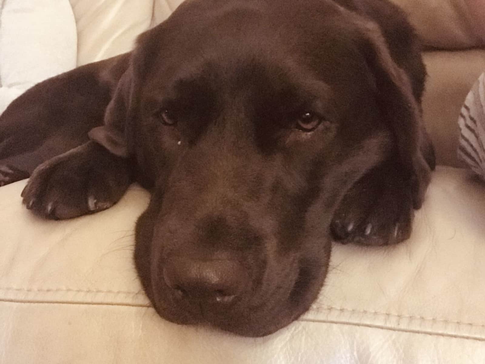 Sally & Simon from Sydney, New South Wales, Australia