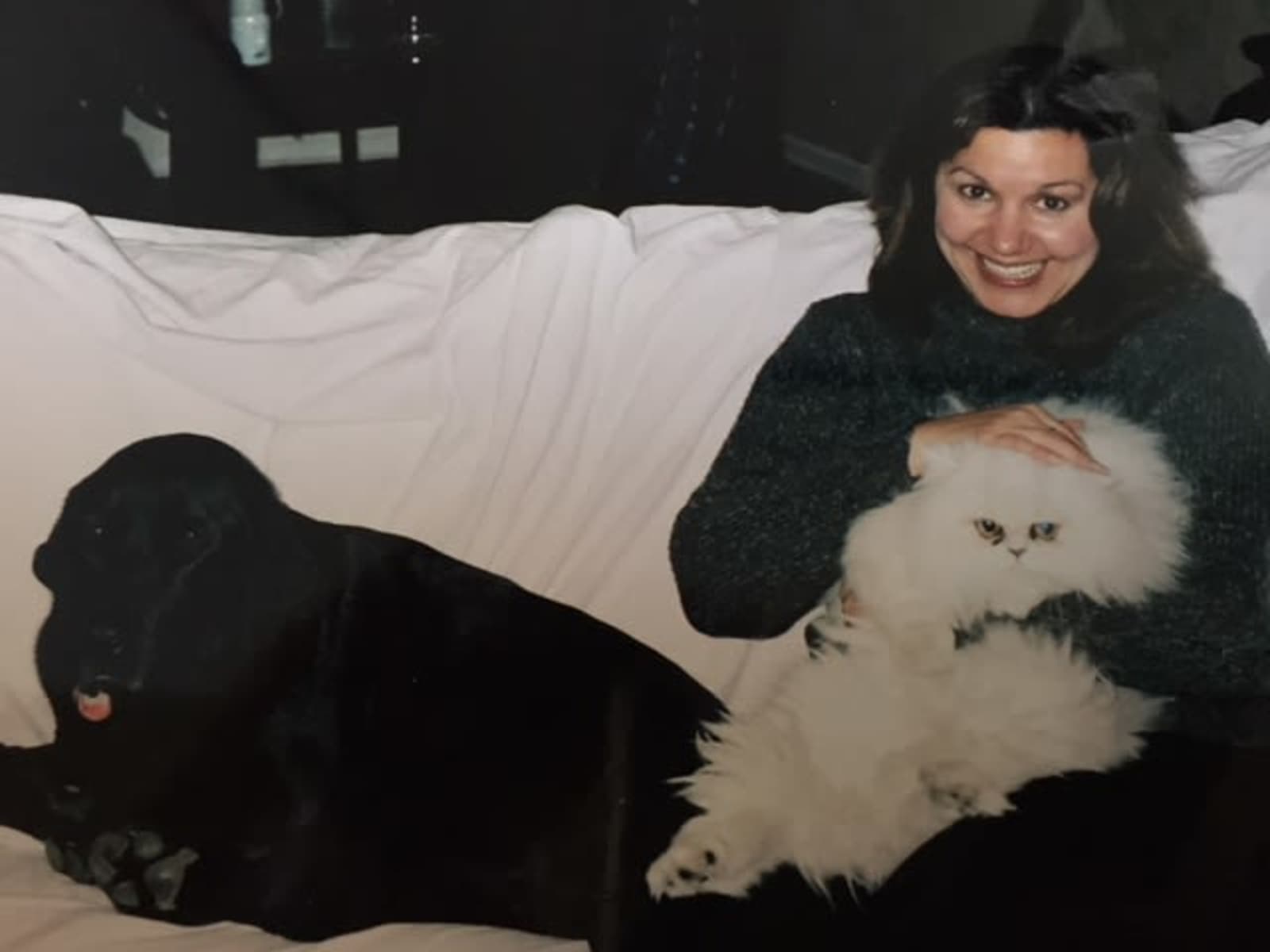 Marsha from Chicago, Illinois, United States
