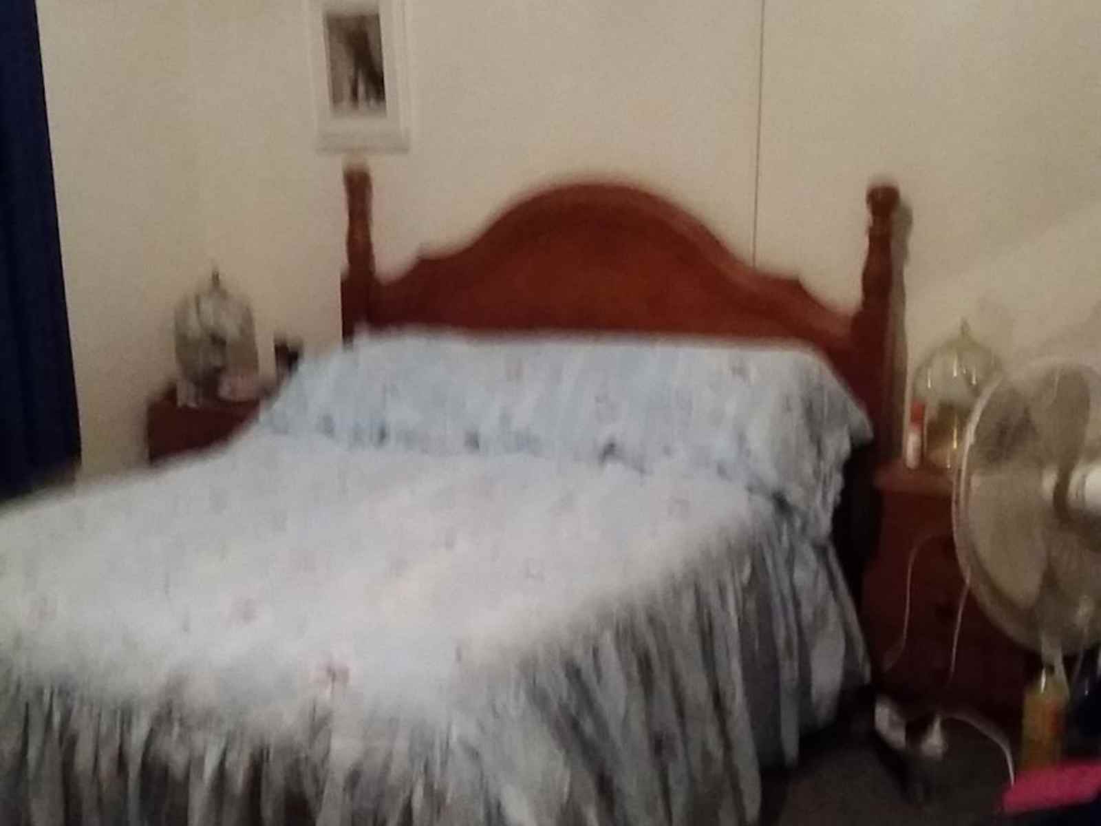 Housesitting assignment in Kadina, South Australia, Australia