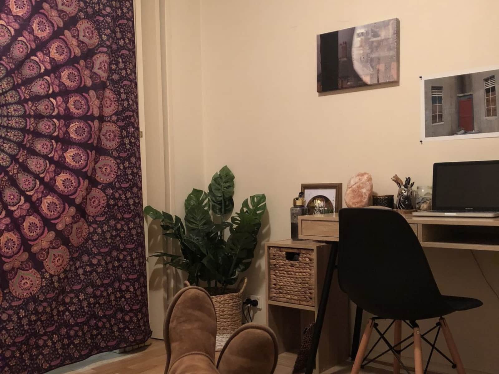 Housesitting assignment in Bendigo, Victoria, Australia