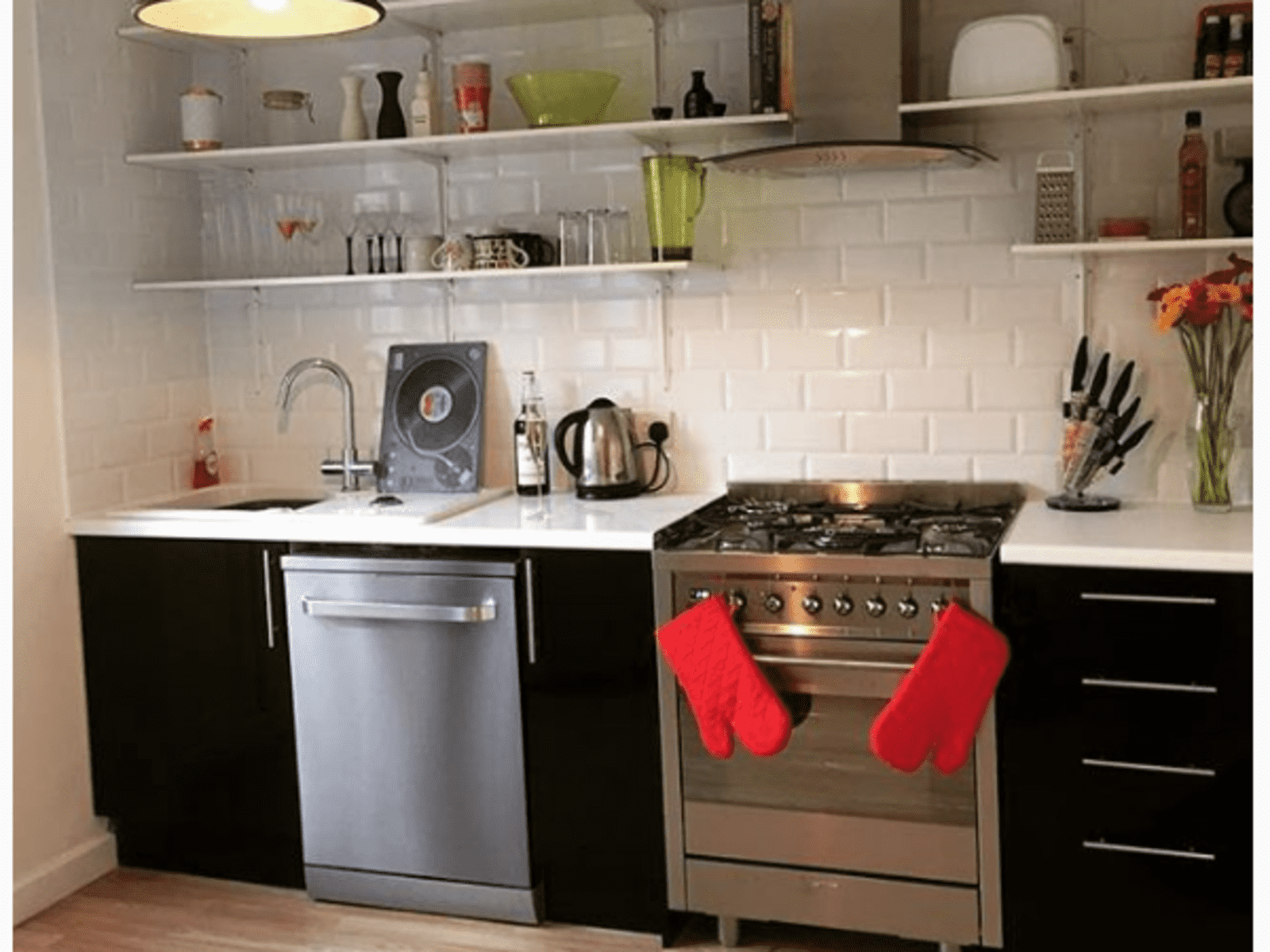 Housesitting assignment in London, United Kingdom