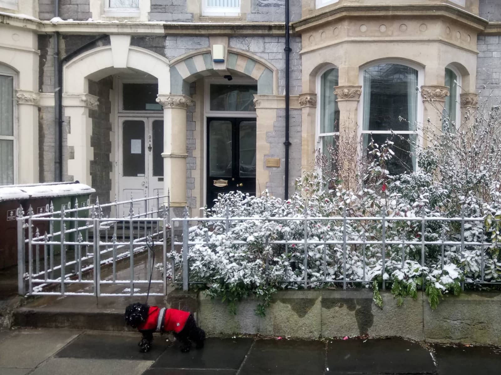 Housesitting assignment in Plymouth, United Kingdom