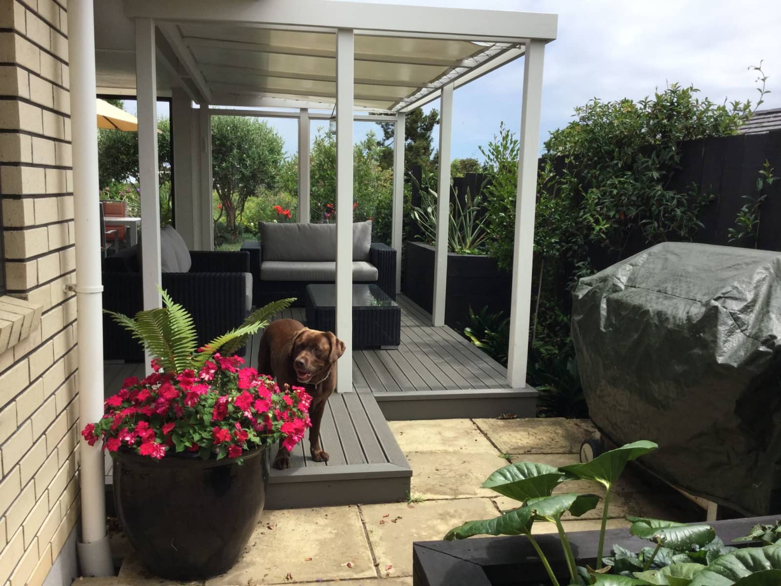 Kevin & Christopher from New Plymouth, New Zealand