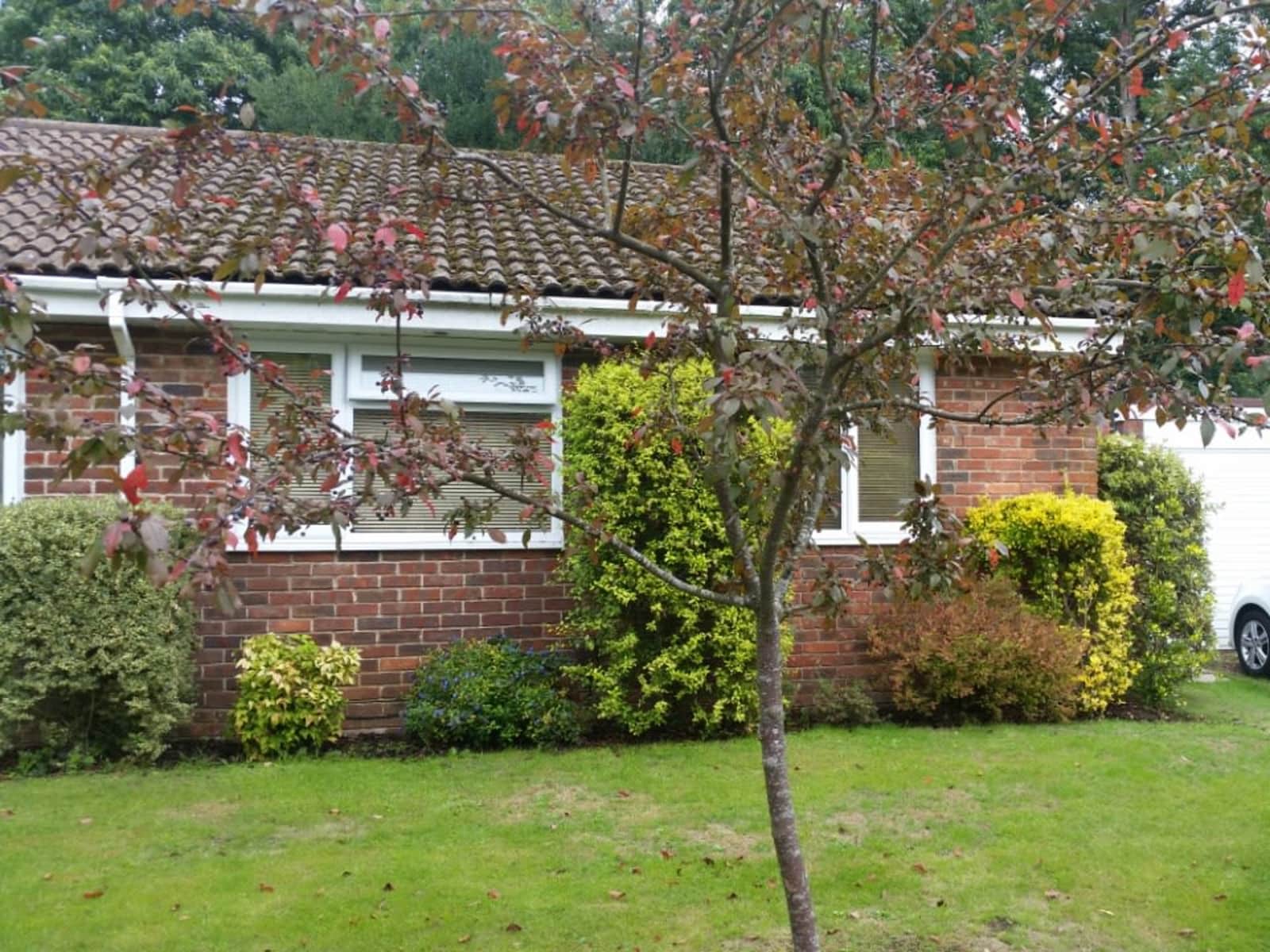 Housesitting assignment in Liss, United Kingdom