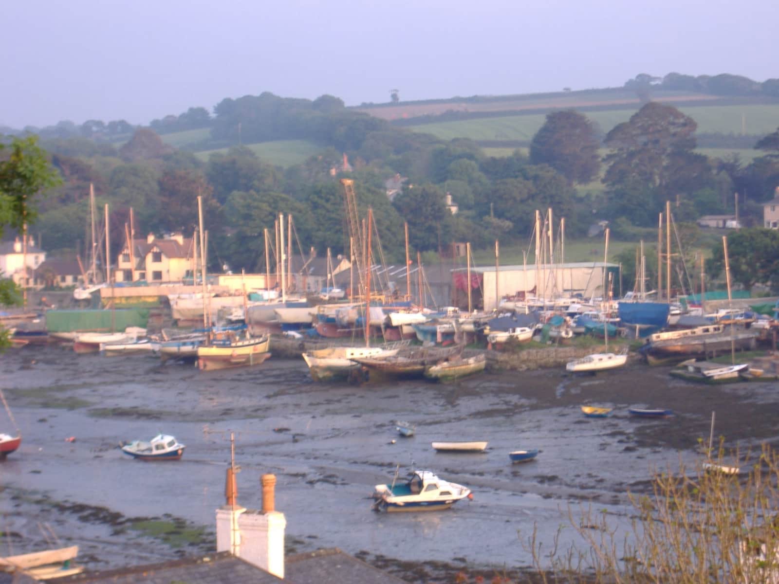 Housesitting assignment in Falmouth, United Kingdom
