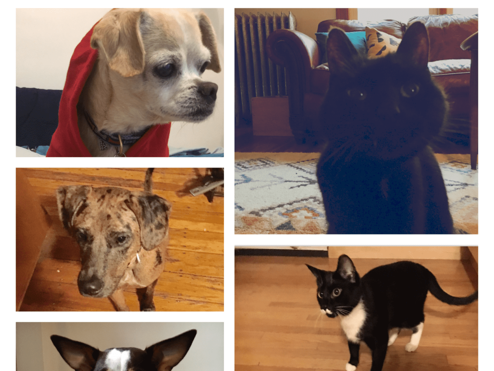 Ty from Boston, Massachusetts, United States