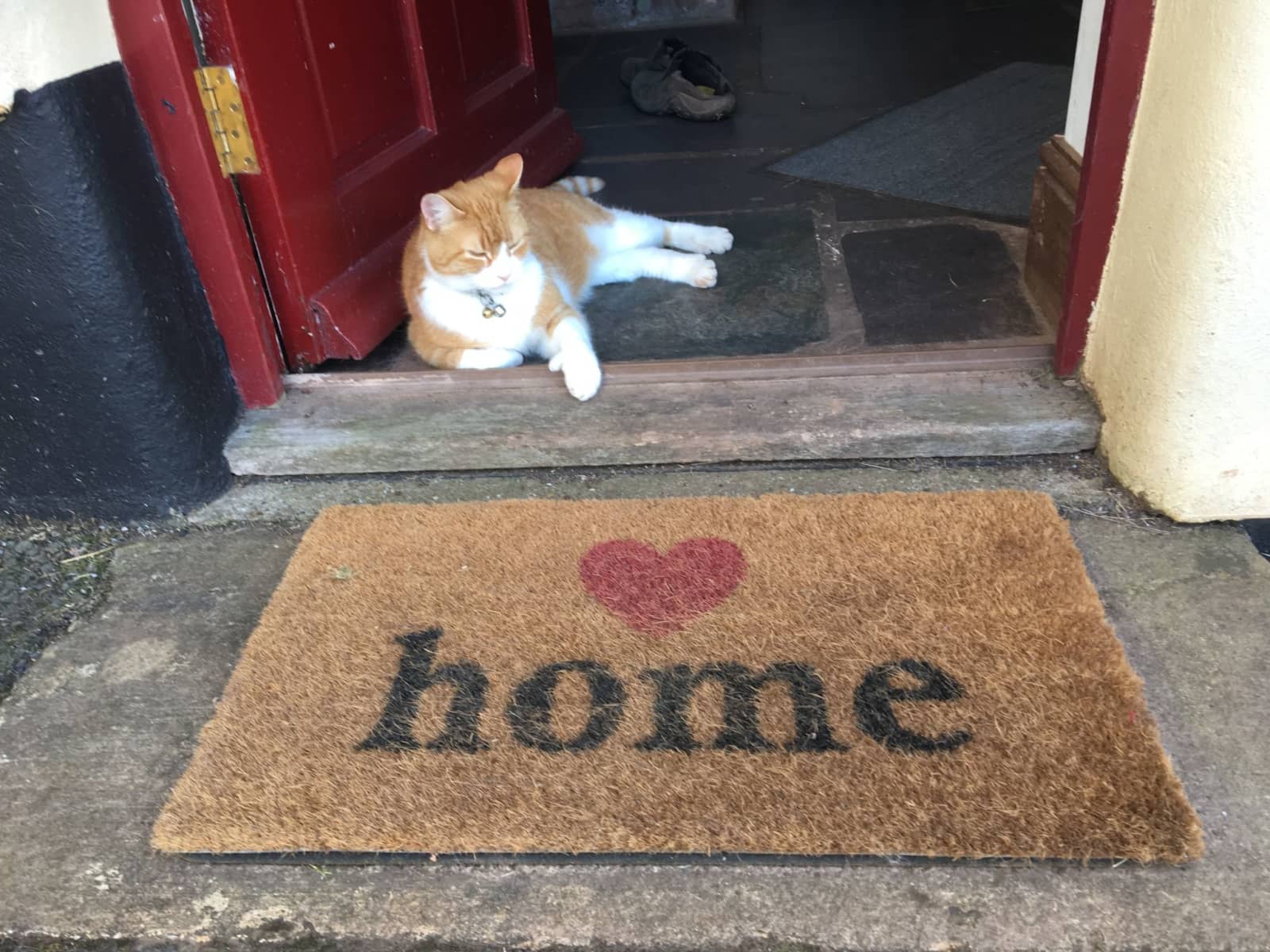 Housesitting assignment in Minehead, United Kingdom