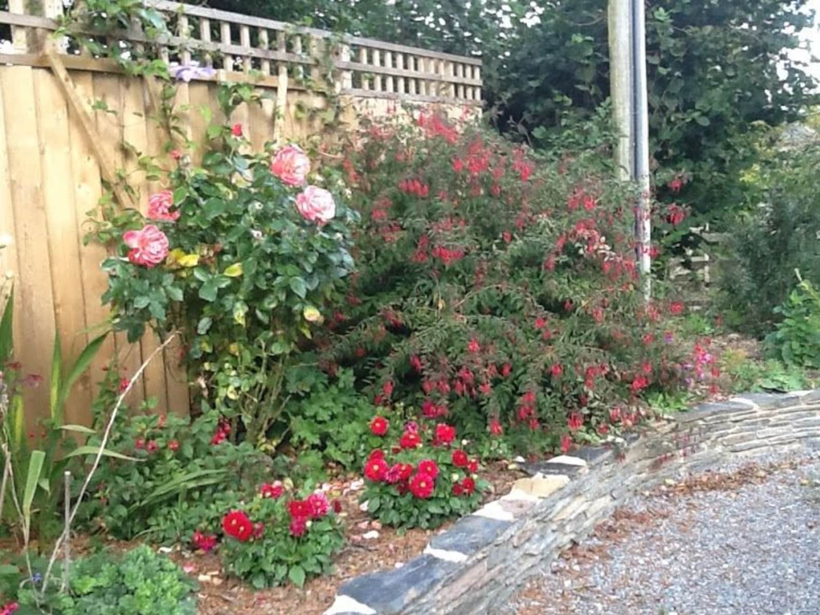 Housesitting assignment in South Pool, United Kingdom
