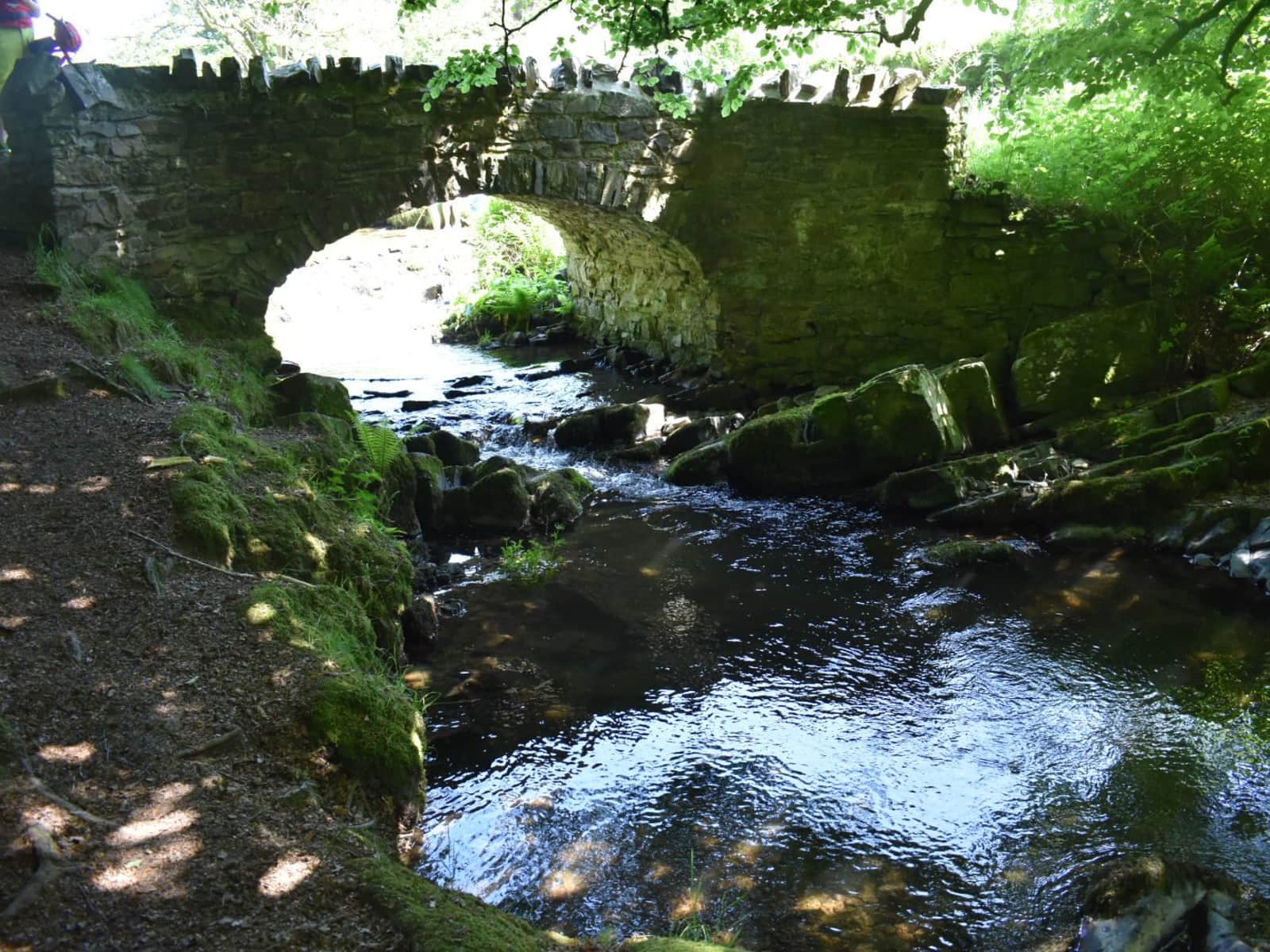 Housesitting assignment in South Molton, United Kingdom