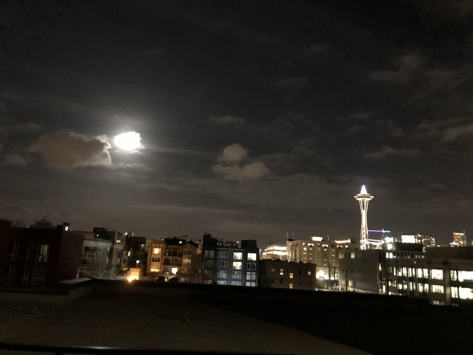 Housesitting assignment in Seattle, Washington, United States
