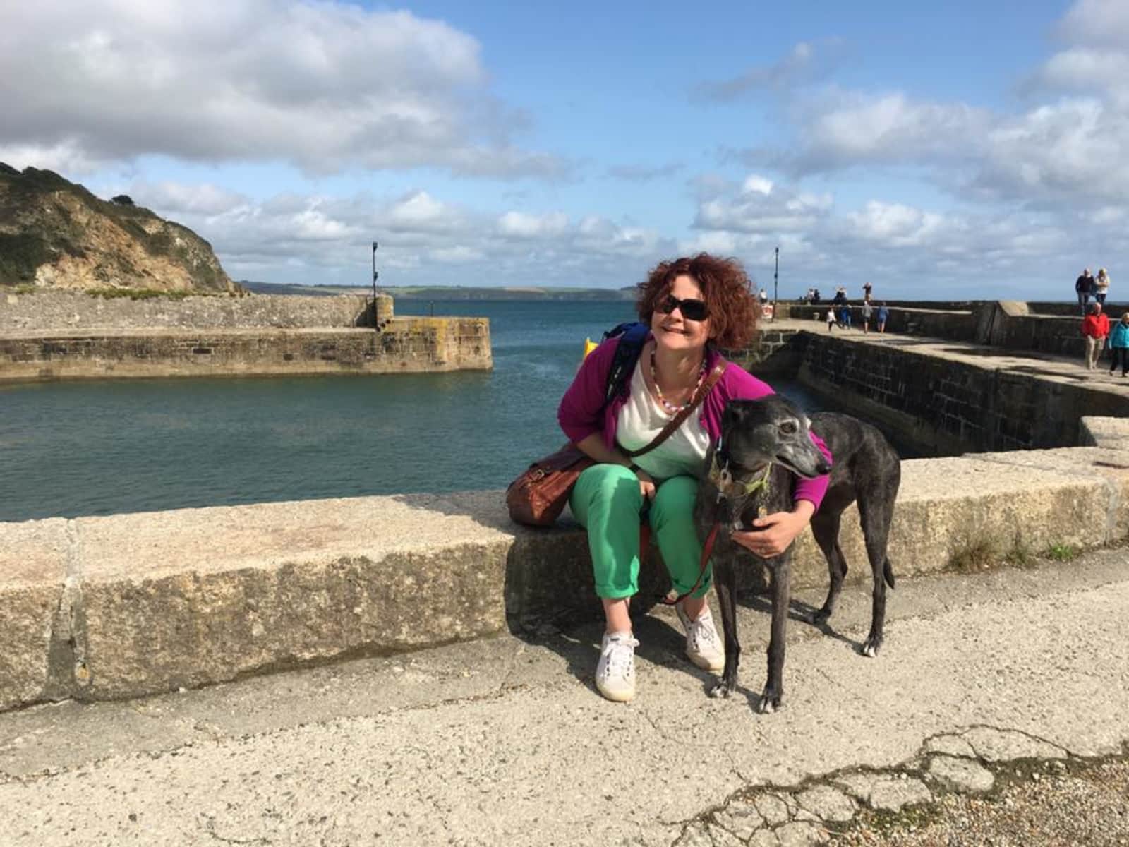 Housesitting assignment in Cwmbran, United Kingdom