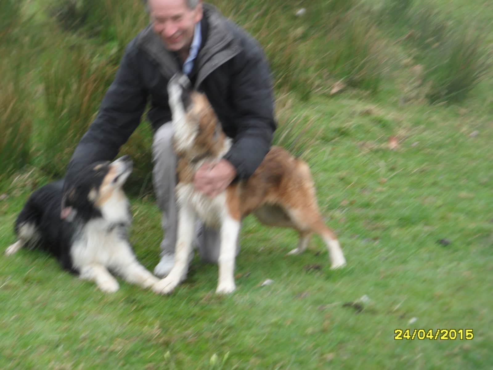 Richard john from Machynlleth, United Kingdom
