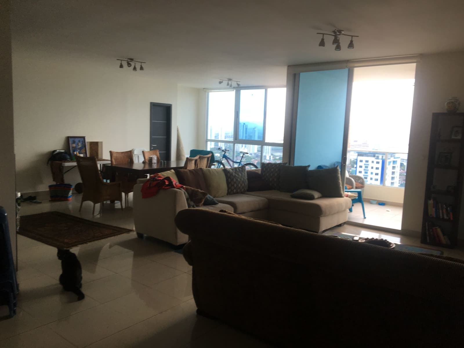 Housesitting assignment in Paitilla, Panama