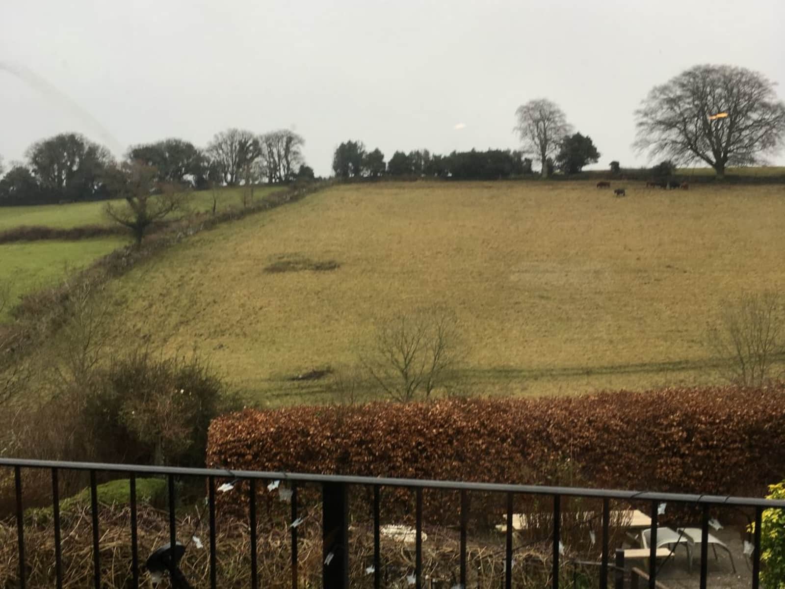 Housesitting assignment in Chagford, United Kingdom