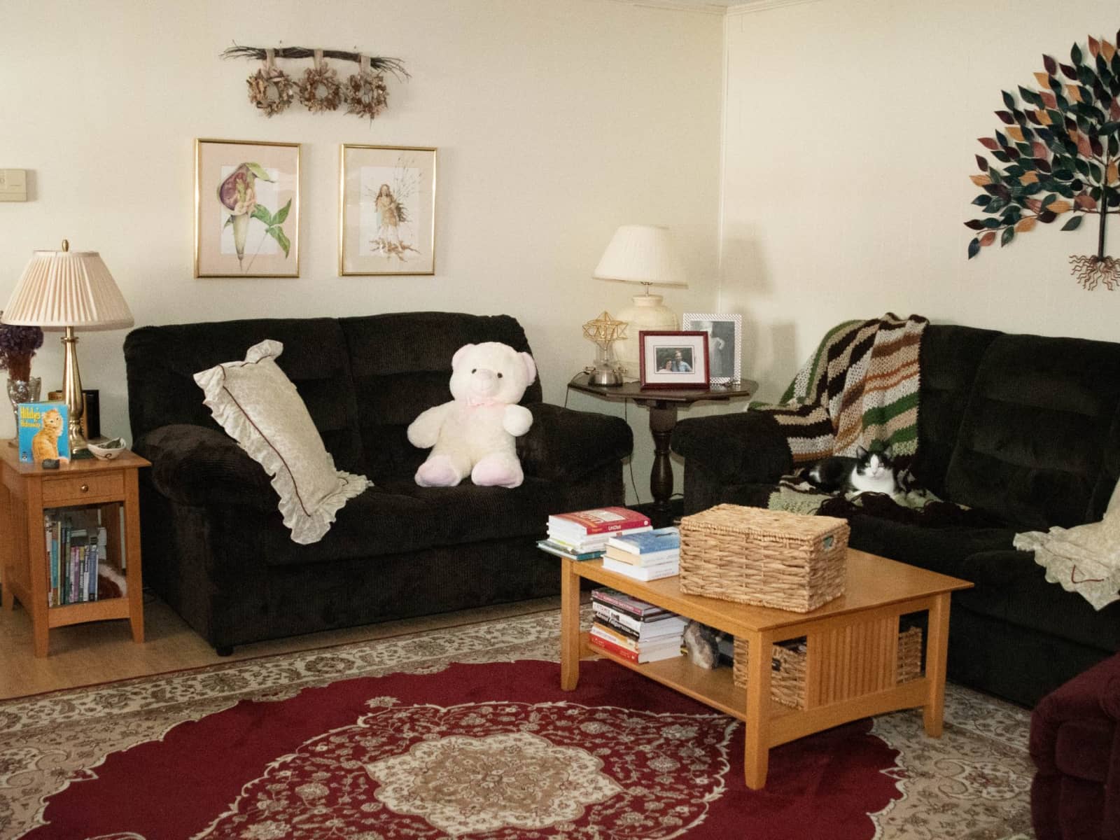 Housesitting assignment in Addison, New York, United States