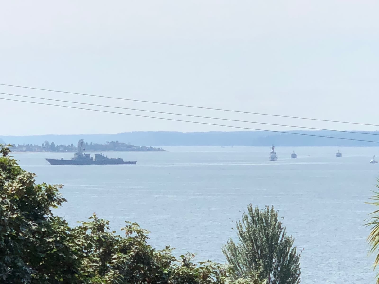 Housesitting assignment in Seattle, Washington, United States