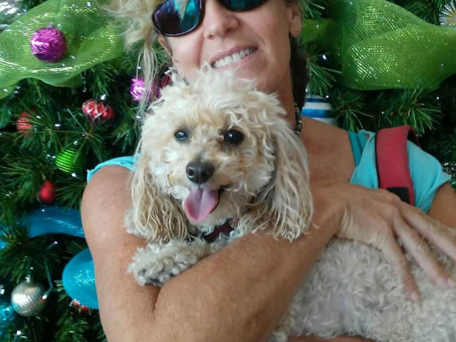 Cathi from Tampa, Florida, United States