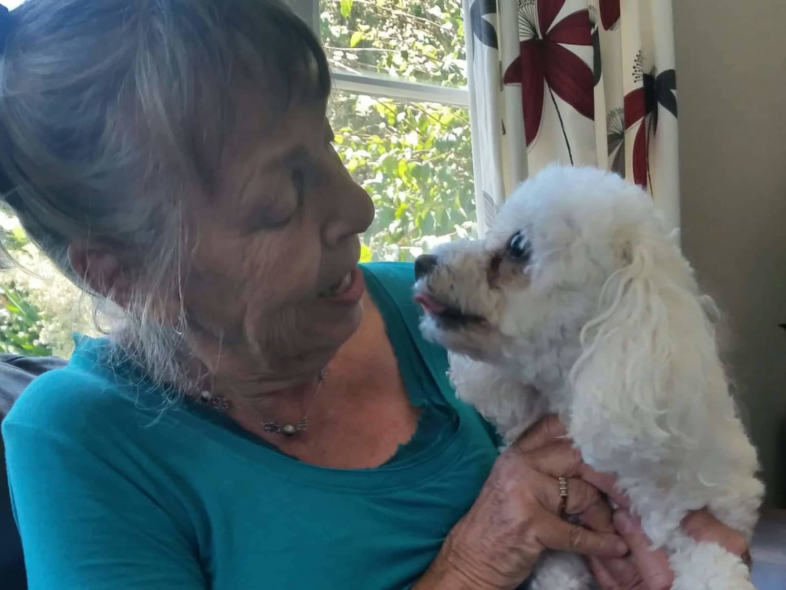 Dianne from Napier, New Zealand