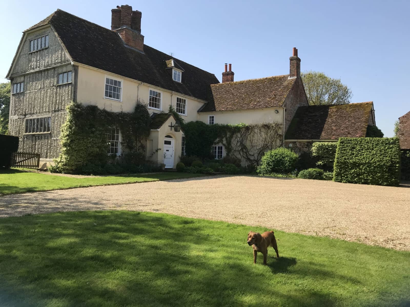 Housesitting assignment in New Alresford, United Kingdom