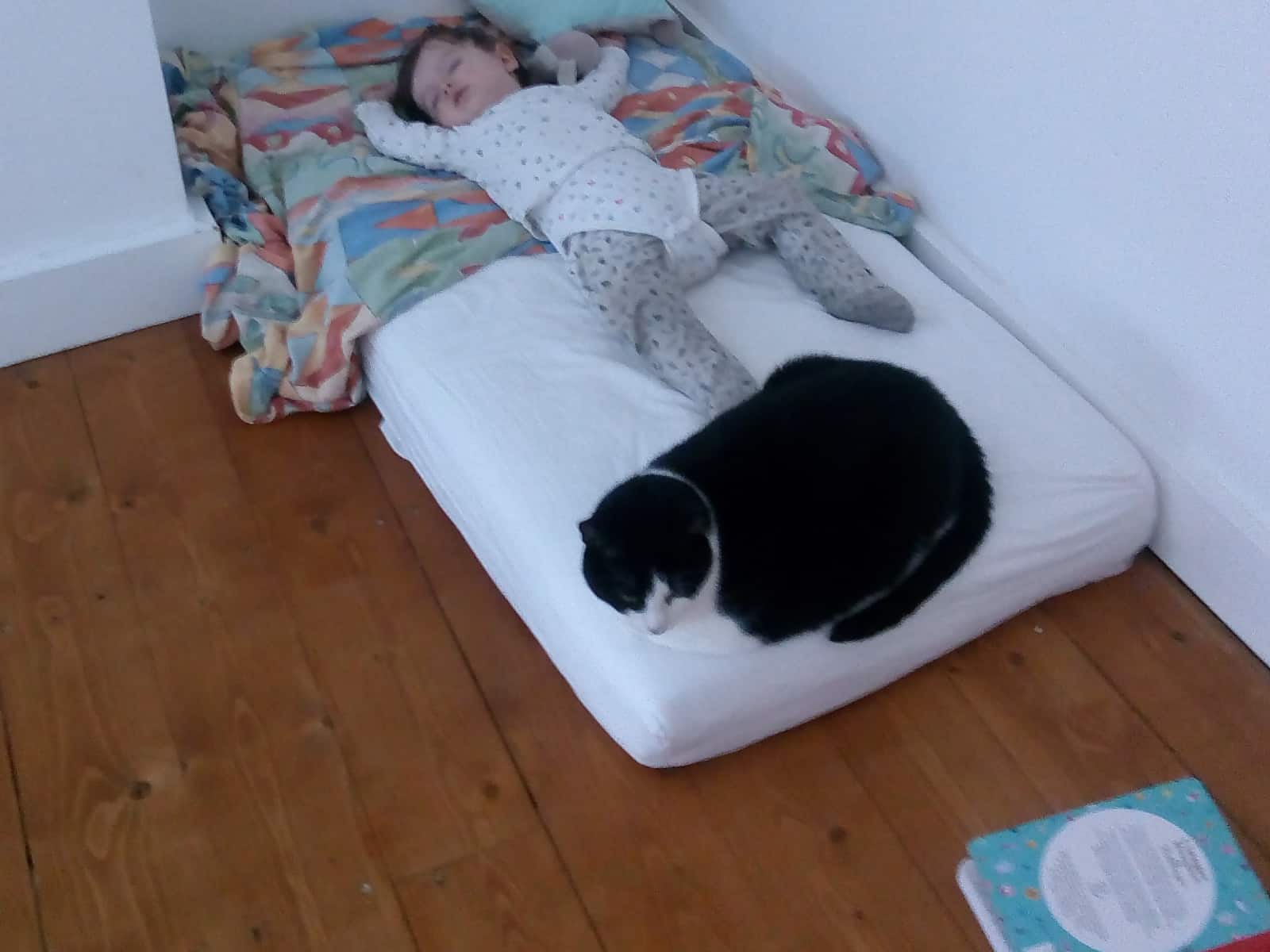 Housesitting assignment in Exeter, United Kingdom