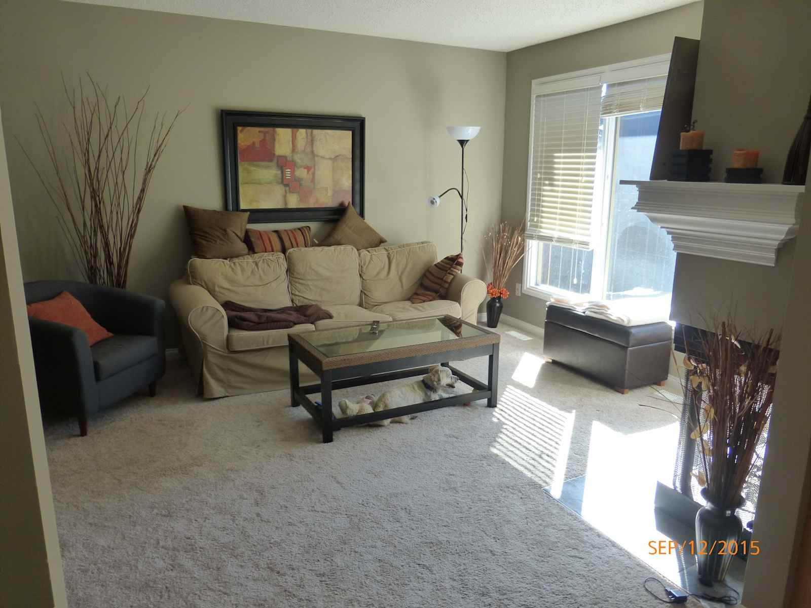 Housesitting assignment in Calgary, Alberta, Canada