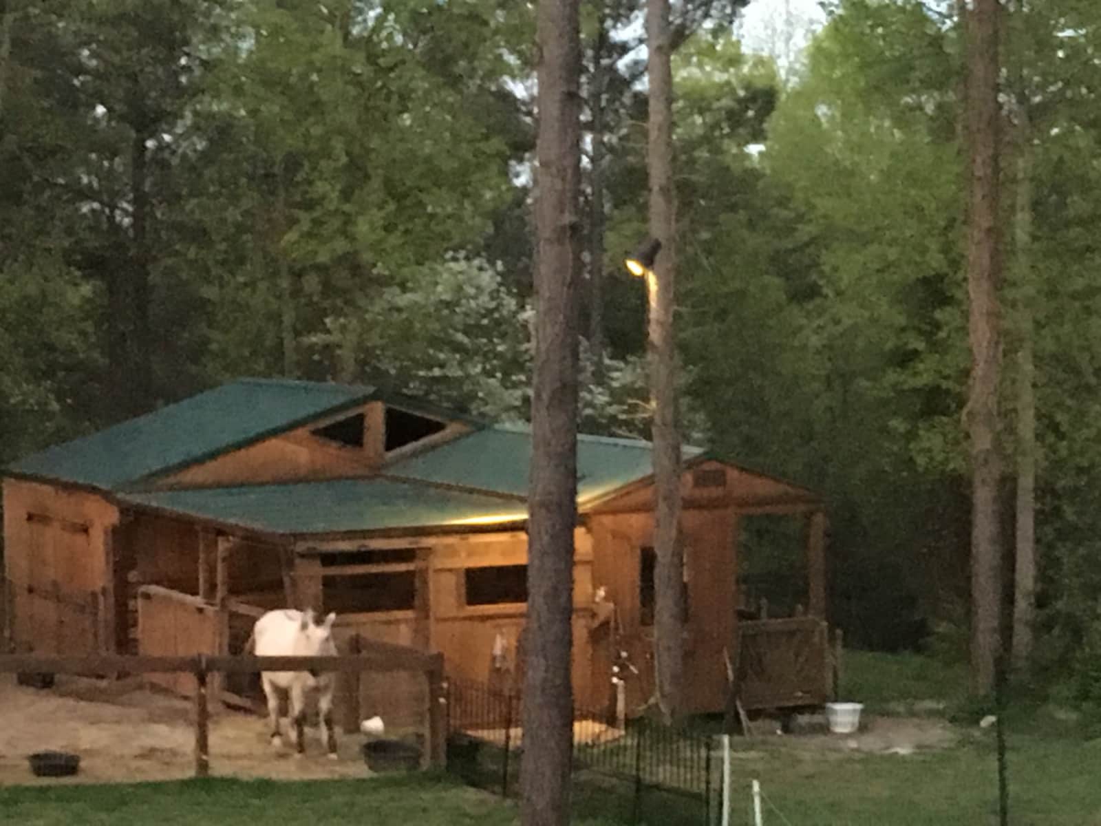 Housesitting assignment in Athens, Tennessee, United States