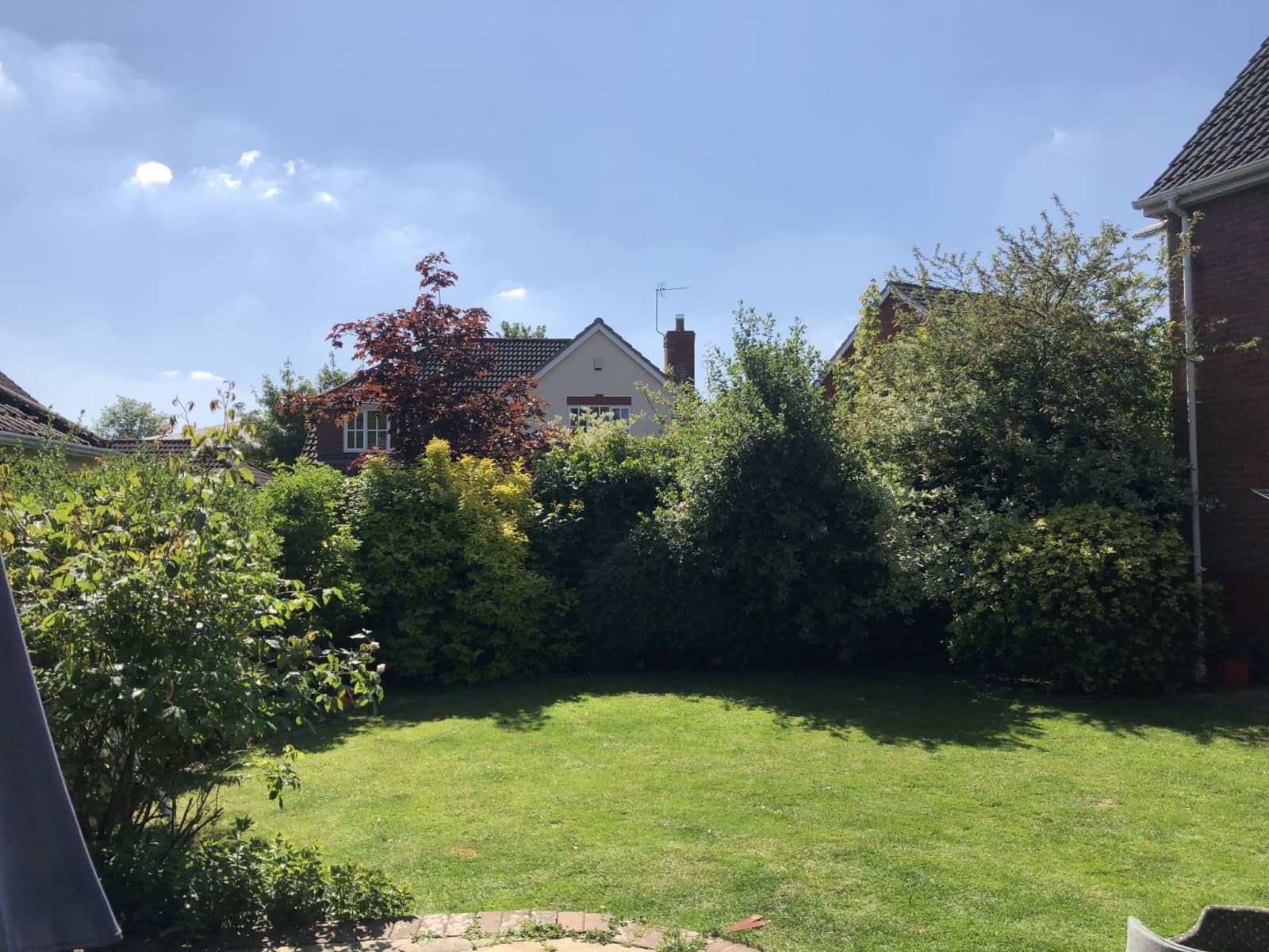 Housesitting assignment in Basingstoke, United Kingdom