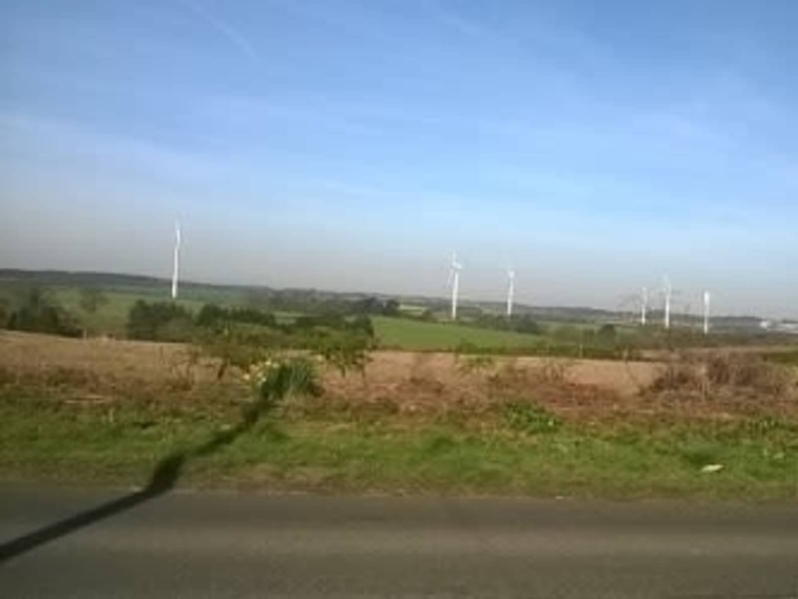 Housesitting assignment in Mansfield, United Kingdom